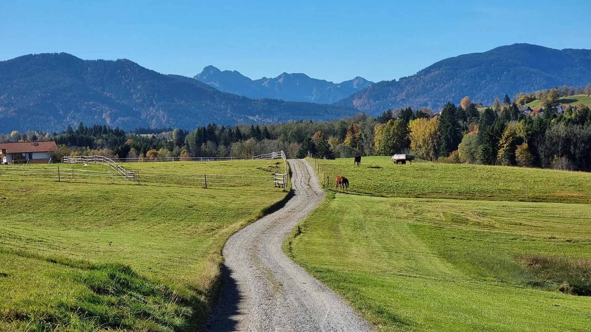Chalet Fend - Exklusives Ferienhaus - Freistehend Bad Kohlgrub Holiday home